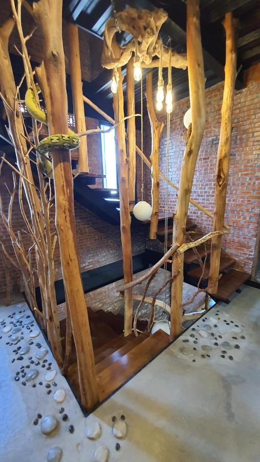 פולי 缽割貓點點 青旅 Diandian Hostel מראה חיצוני תמונה