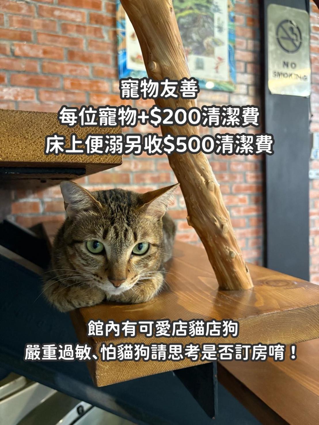 פולי 缽割貓點點 青旅 Diandian Hostel מראה חיצוני תמונה